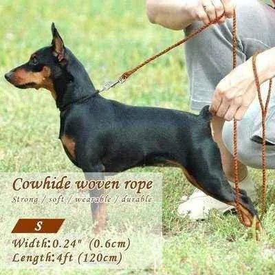 Stylish 4ft Rolled Leather Dog Leash 🐾